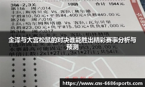 金泽与大宫松鼠的对决谁能胜出精彩赛事分析与预测